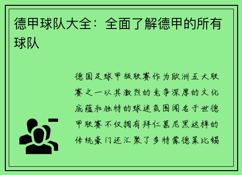德甲球队大全：全面了解德甲的所有球队