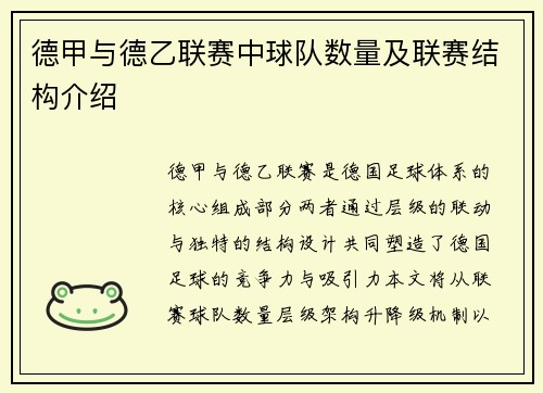 德甲与德乙联赛中球队数量及联赛结构介绍